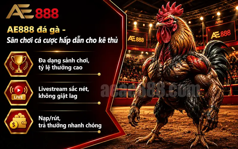AE888 đá gà có gì hot?