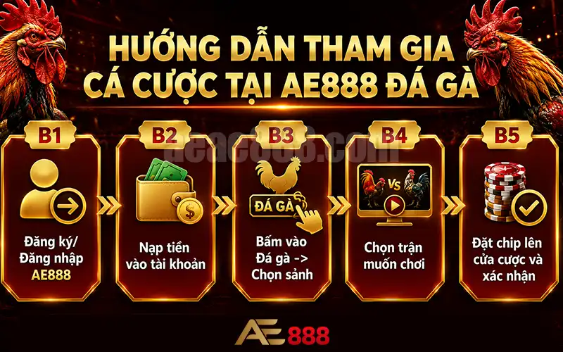 Hướng dẫn tham gia cá cược tại AE888 đá gà