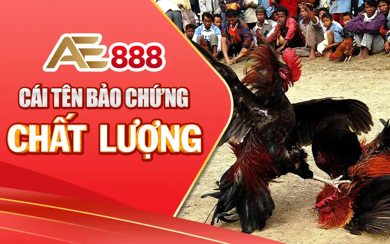 Giới thiệu nhà cái AE888