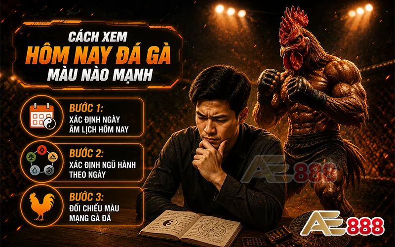 hôm nay đá gà màu nào mạnh theo ngũ hành