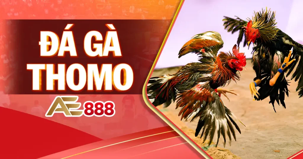 da-ga-thomo-ae888