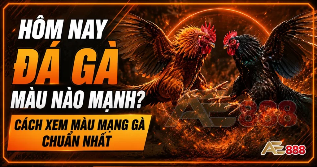 hôm nay đá gà màu nào mạnh