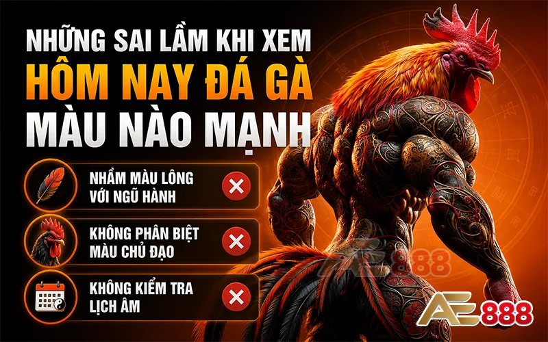 sai lầm thường gặp khi xem hôm nay đá gà màu nào mạnh